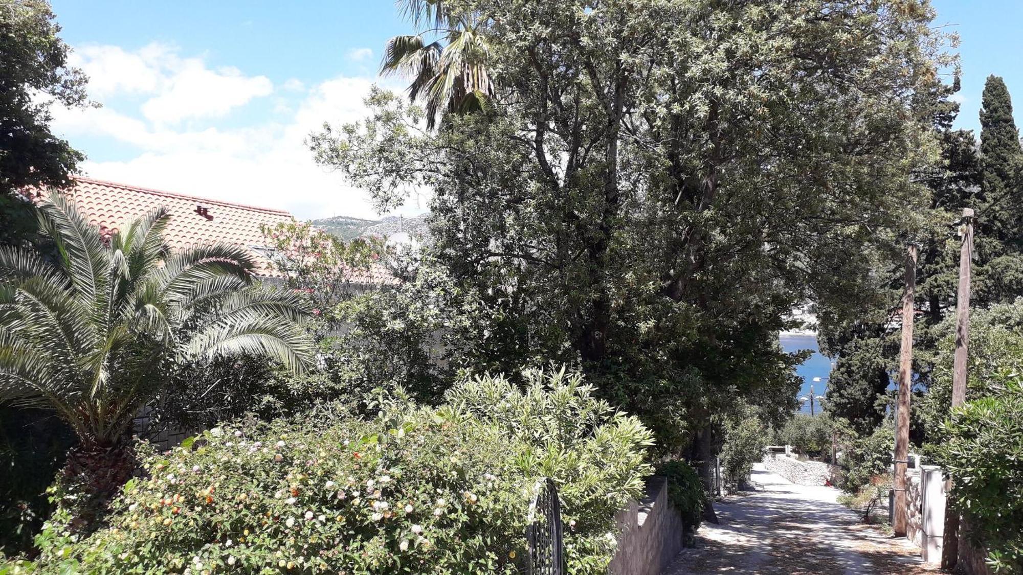 Apartments Marija - 50M From Beach Zaton  Bagian luar foto